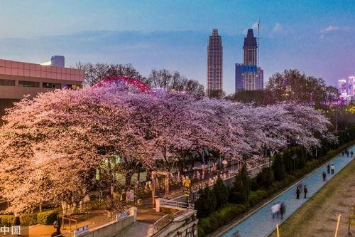 抖音最新吃瓜喷泉